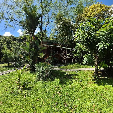 Centro Ananda Bed and Breakfast Guápiles Eksteriør billede
