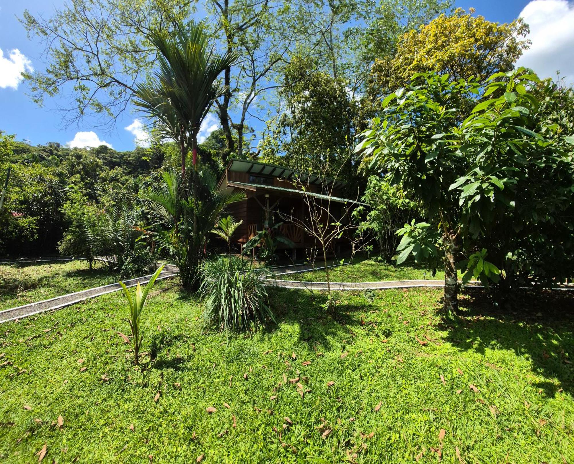 Centro Ananda Bed and Breakfast Guápiles Eksteriør billede