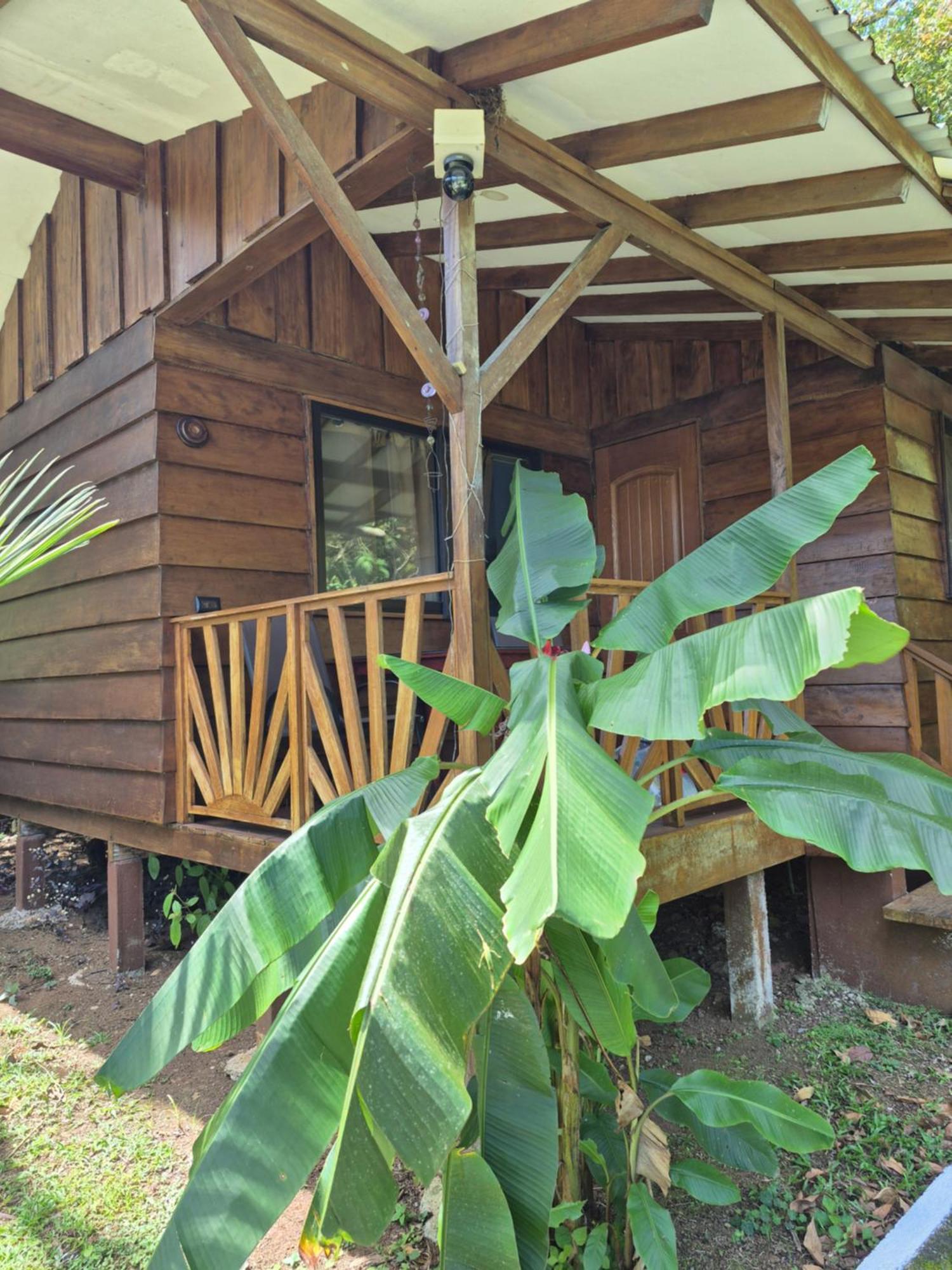 Centro Ananda Bed and Breakfast Guápiles Eksteriør billede